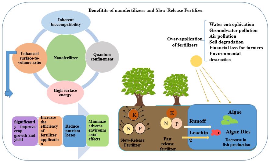 Opportunities and Future Perspective of Nanofertilizers and Controlled Release Nanofertilizers in Agriculture 