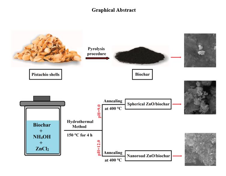 Synthesis of ZnO nanostructures with different morphologies on biochar support for photocatalytic degradation of organic dye 